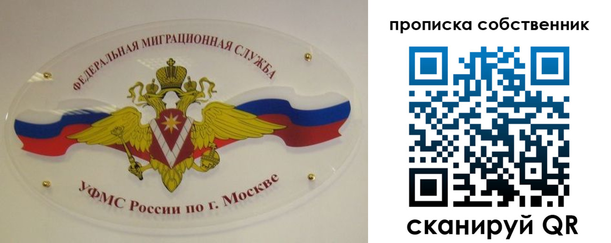 прописка 2025 в Курчатове
